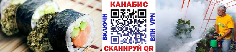 Canna-Cookies конопля  Берёзовка 