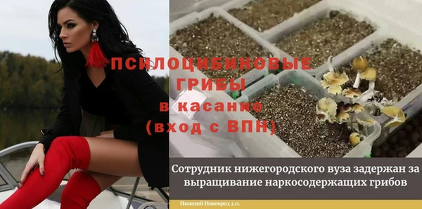 героин Бородино