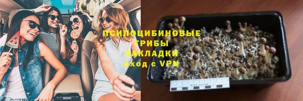 спиды Бронницы